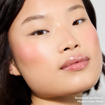 Lip Gloss and Cheek Duo Set