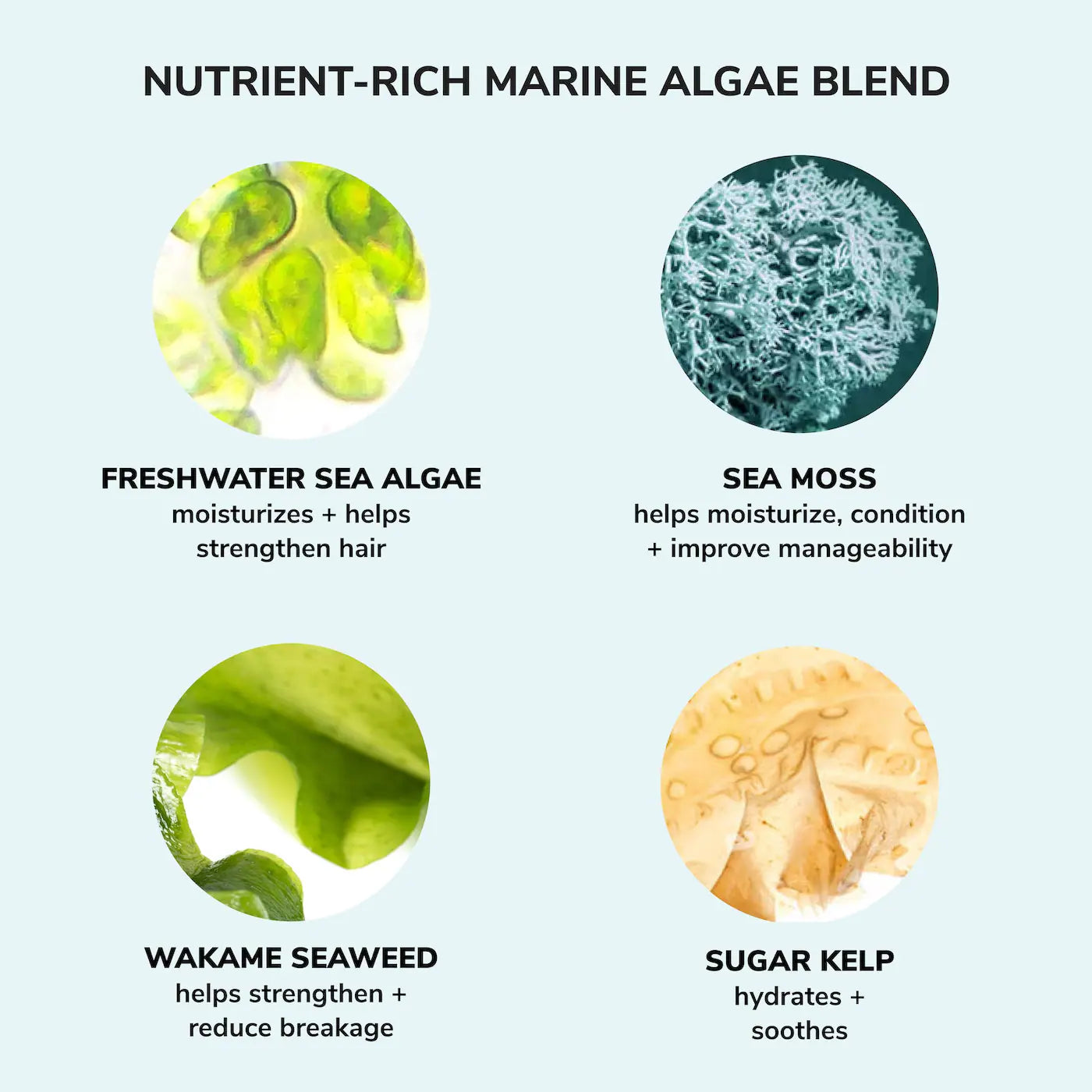 Money Laundering Glossing Conditioner for Extreme Hydration and Shine