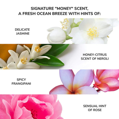 Money Laundering Glossing Conditioner for Extreme Hydration and Shine