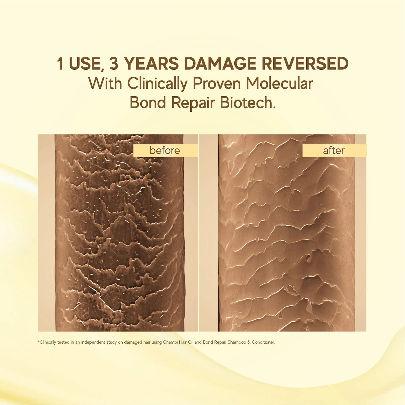 Champi Bond Repair Shampoo