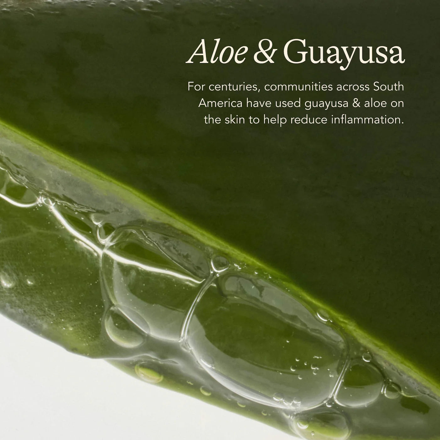 Agua Fresca Cooling & Smoothing Eye Cream with Aloe & Guayusa