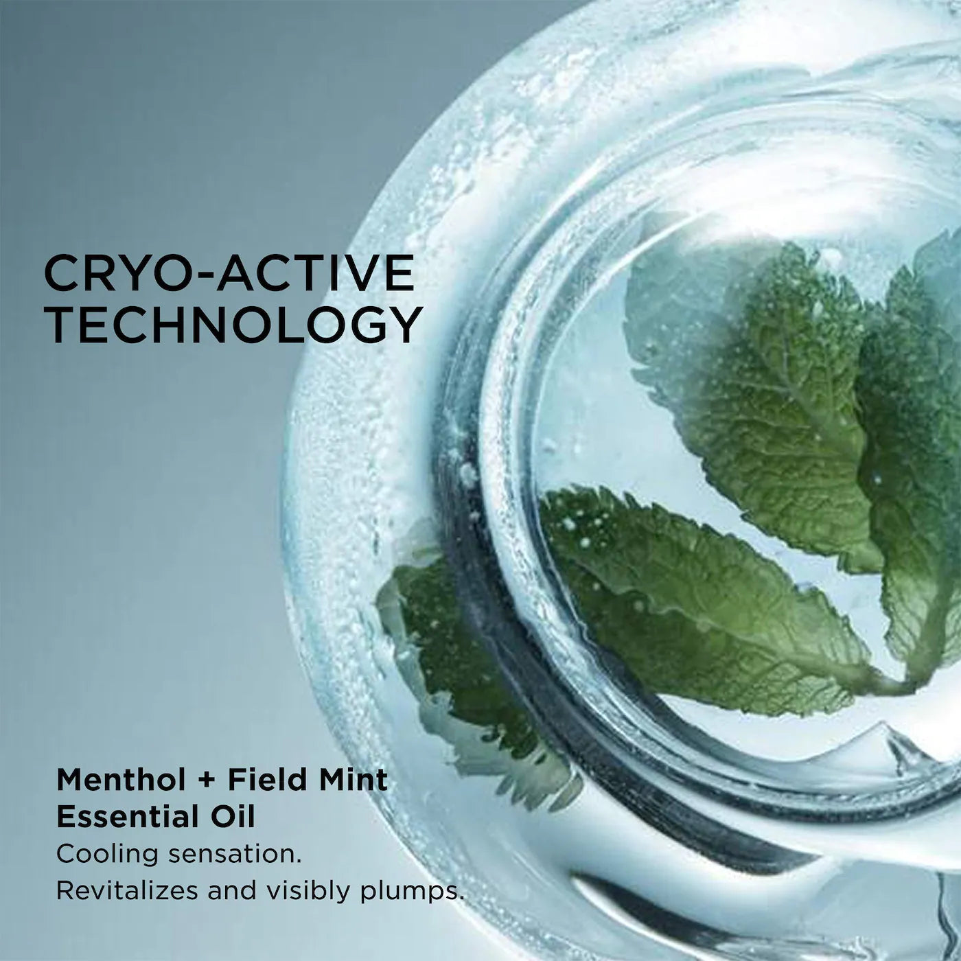 Cryo-Plumping Lip Oil