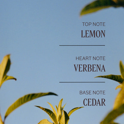 Verveine Agrumes Stick Deodorant