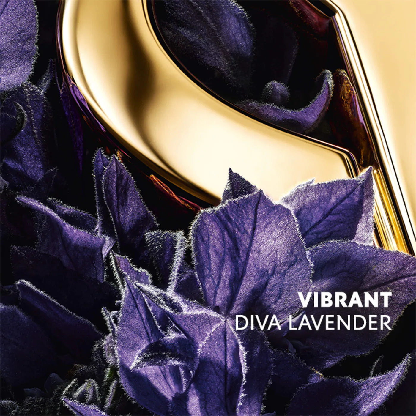 LIBRE Santal Eau de Parfum