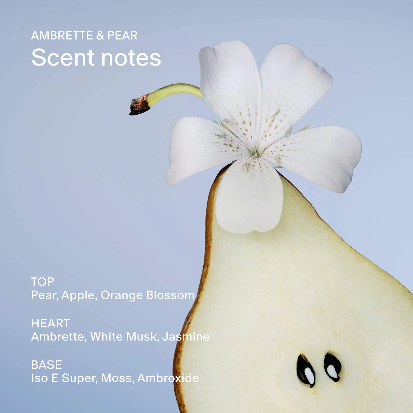 Ambrette & Pear Eau De Parfum with White Musk and Jasmine