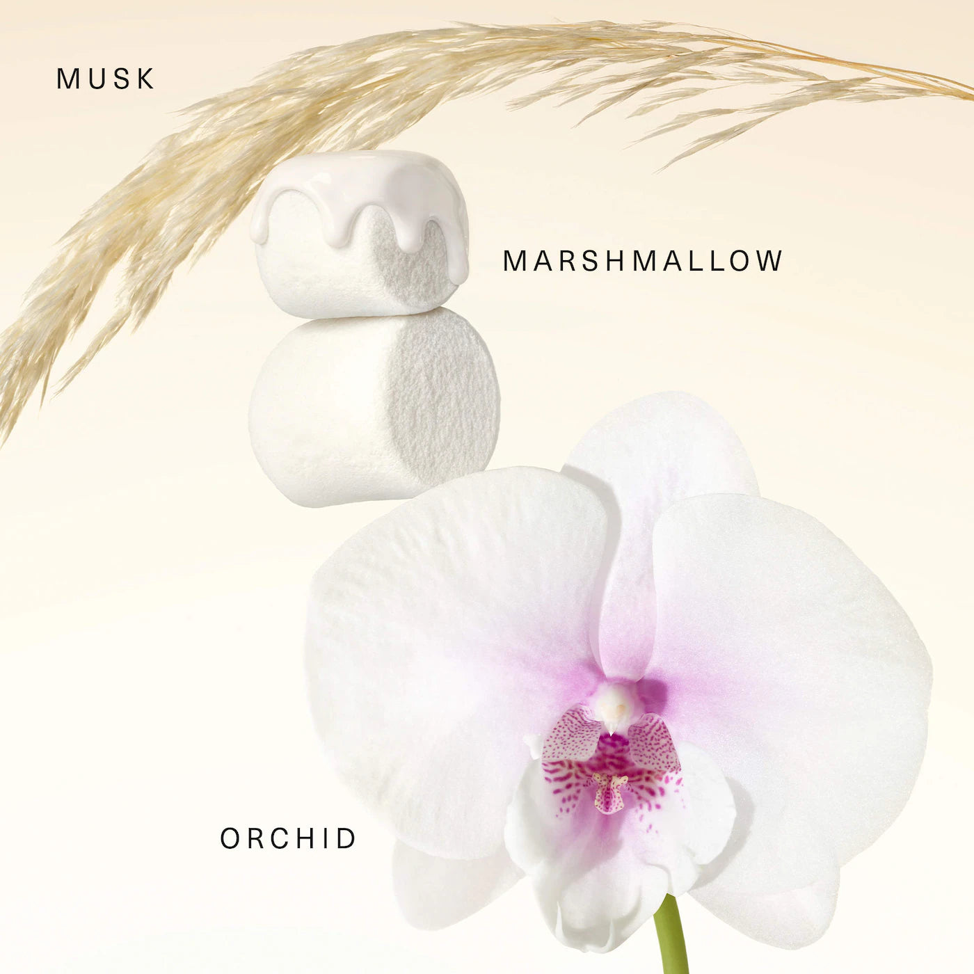Sweet Marshmallow Fragrance Layering Balm