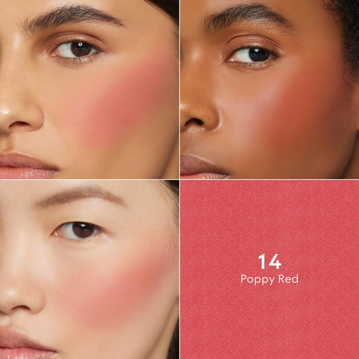 Luminous Matte Powder Blush