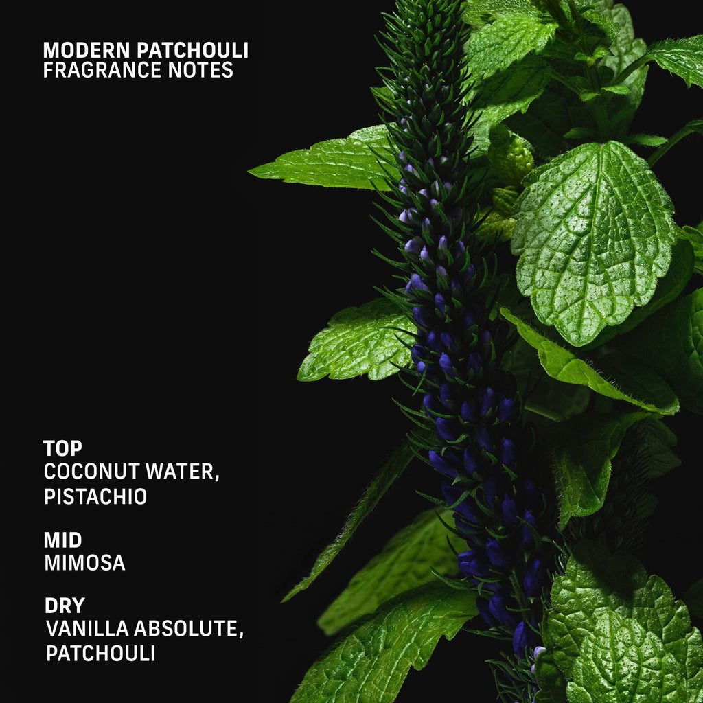 Modern Patchouli Roll-On Perfume Oil with Coconut and Vanilla Absolute