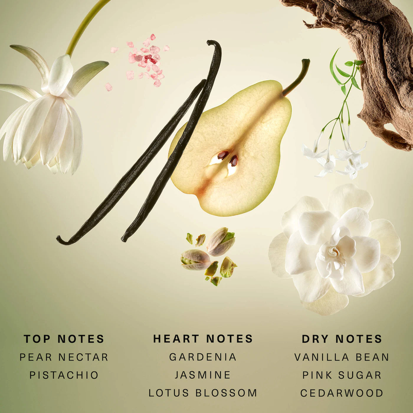 Rare Beginnings Eau de Parfum with Pear and Gardenia