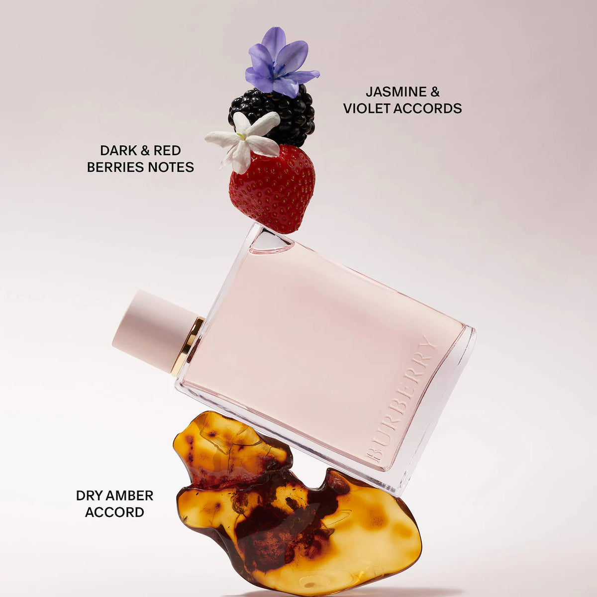 Mini Perfume Sampler Gift Set