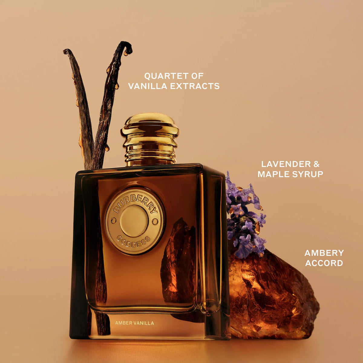 Mini Perfume Sampler Gift Set