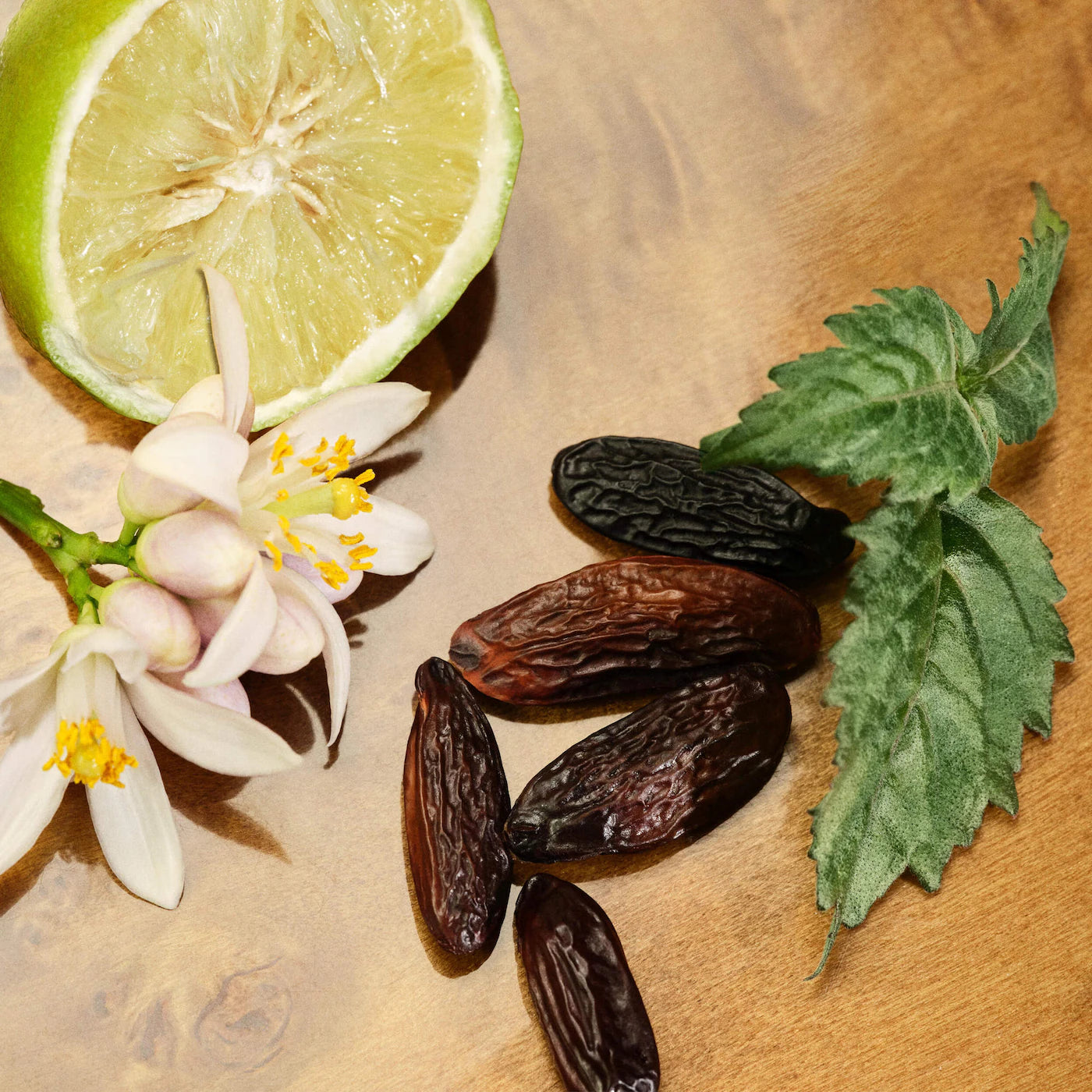 Le Nectar Parfum Intense with Bergamot & Orange Blossom
