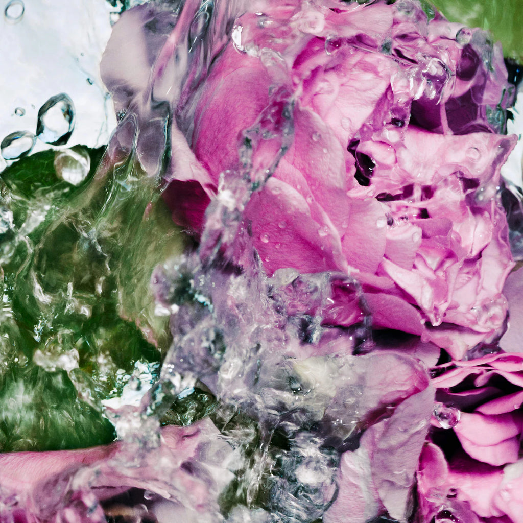 Lost Rose Hand Cream